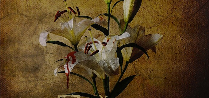 PAČESS zverejňujú prvé informácie