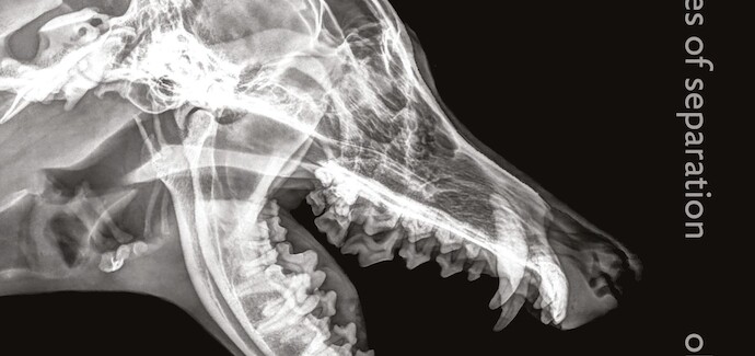 Stále se umíme zakousnout