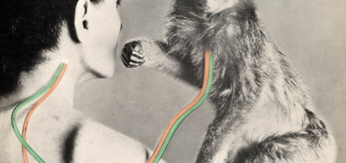 Hard Rock Legends UFO