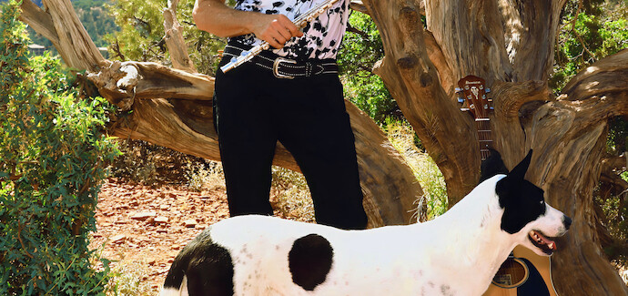 Fly to the Sun project