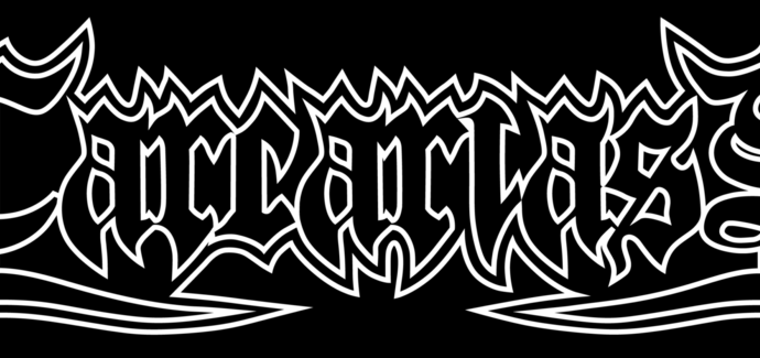 Interview with Carcariass group