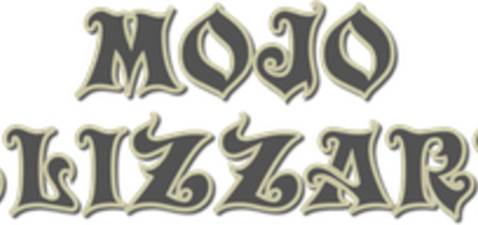 interview Mojo Blizzard