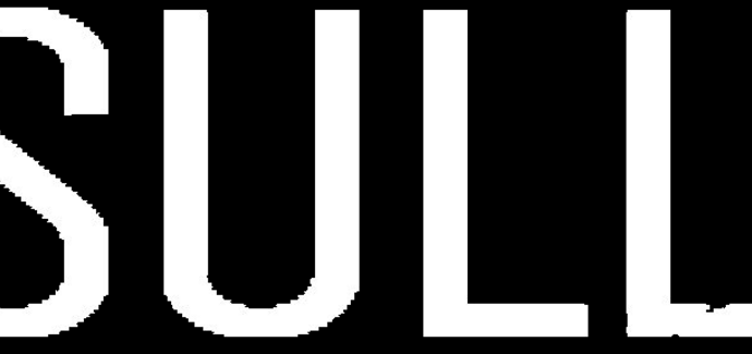 rozhovor s R.C. Sullivan