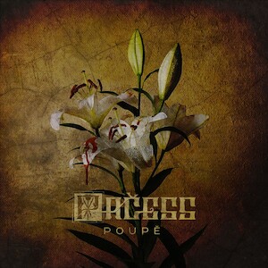 PAČESS zverejňujú prvé informácie