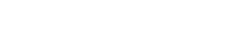 Rozhovor se skupinou the Fods