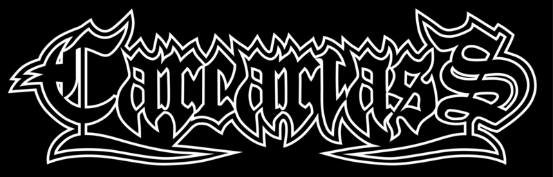 Interview with Carcariass group